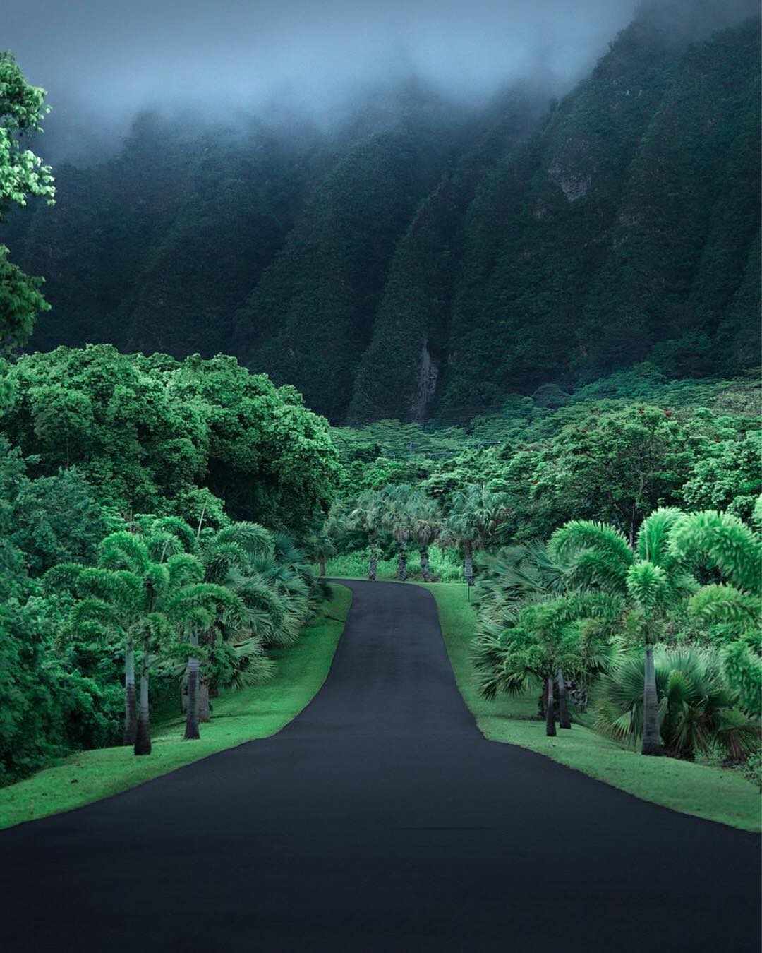 jungle, Road, Hawaii, Asphalt, Mountains Wallpaper