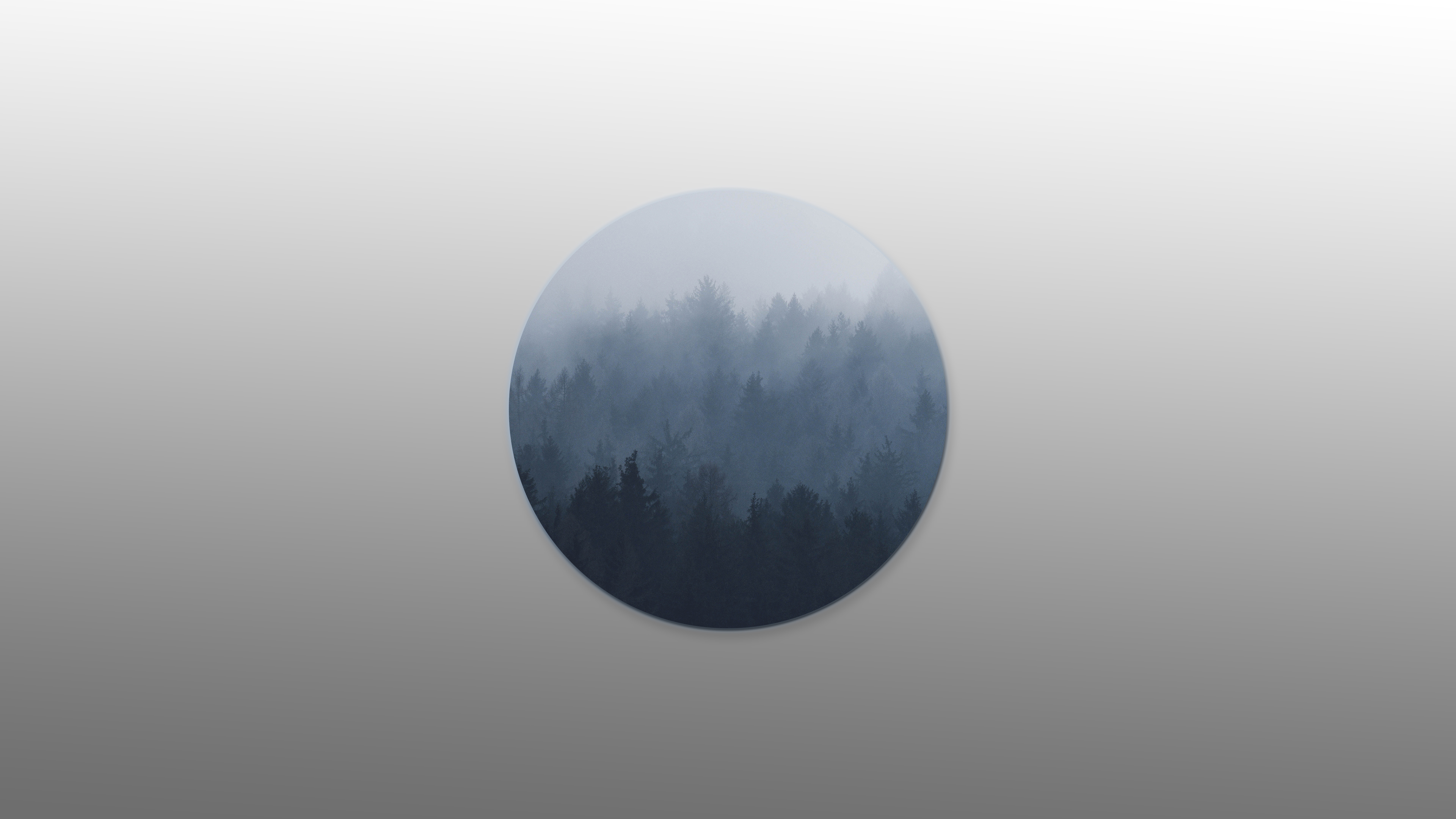 gradient, Trees Wallpaper