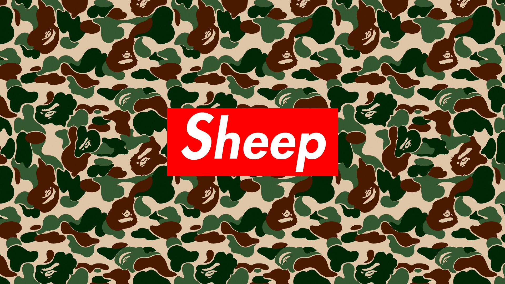 sheep, Humor Wallpaper