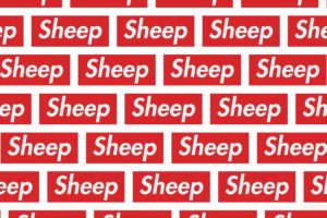 sheep, Humor