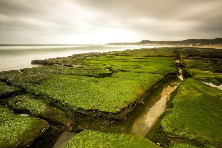 landscape, Sea, Green, Nature HD Wallpaper Desktop Background