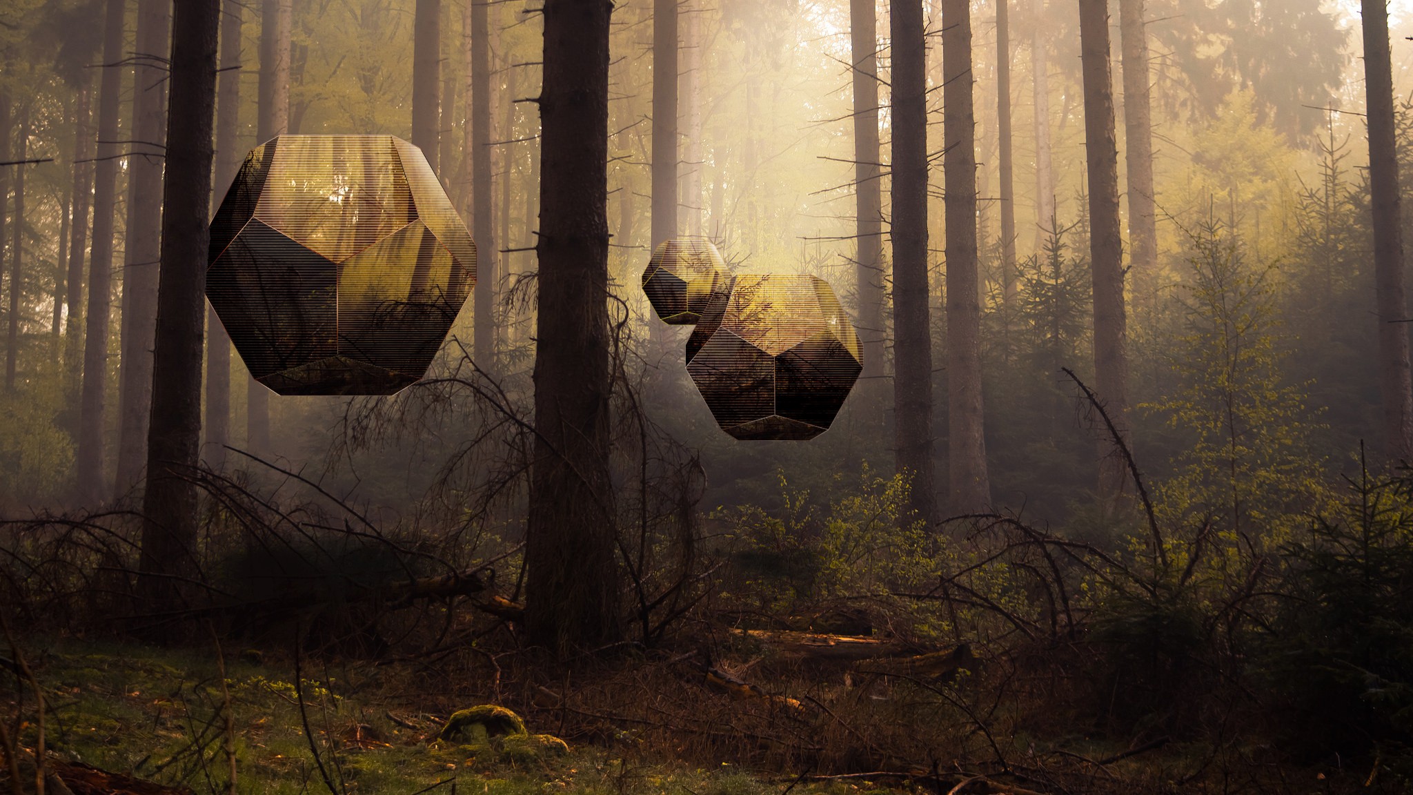 forest, Mist, Photo manipulation Wallpaper