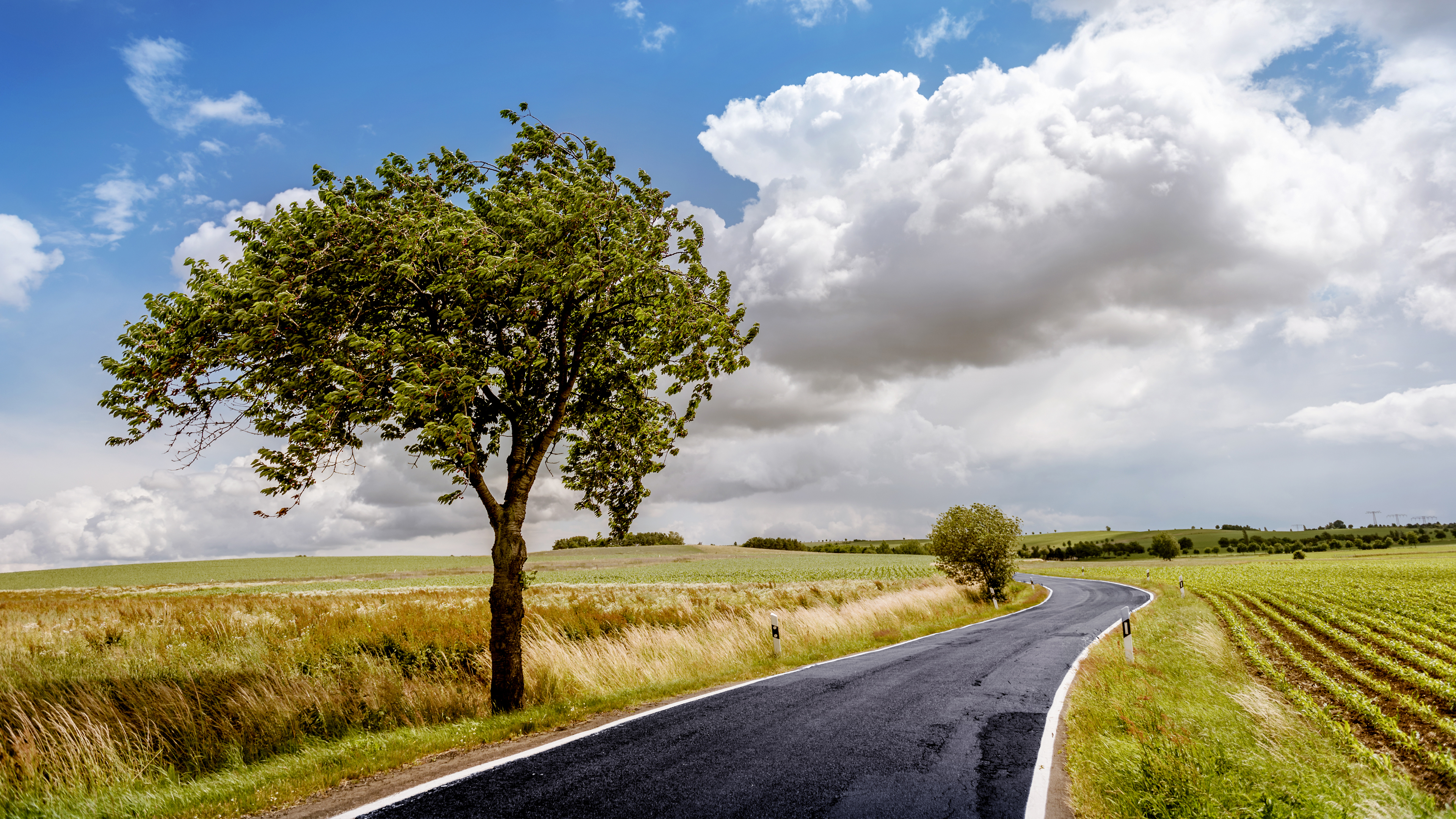 trees, Road, Landscape, Clouds, Field Wallpaper