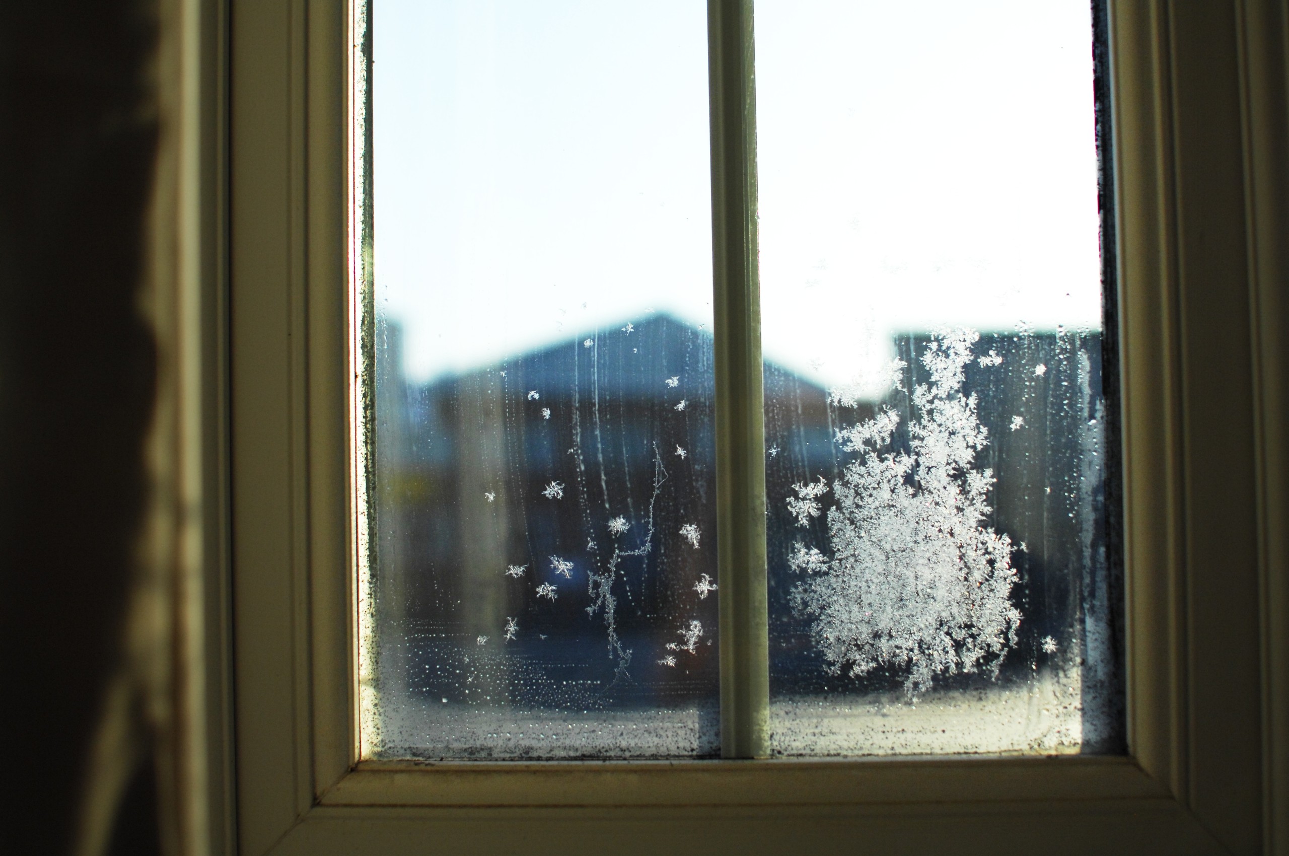 frost, Window, Curtain, The Outsider Wallpaper