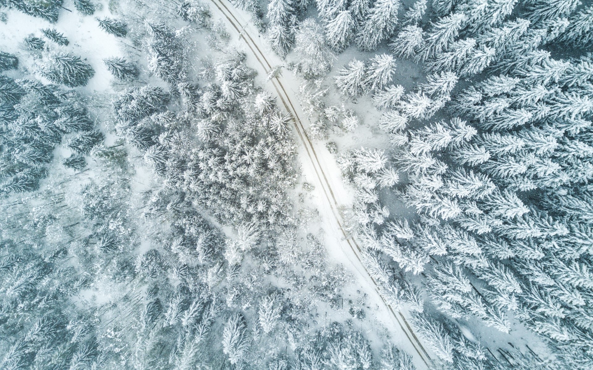 aerial view, Road, Winter, Trees, Snow Wallpaper