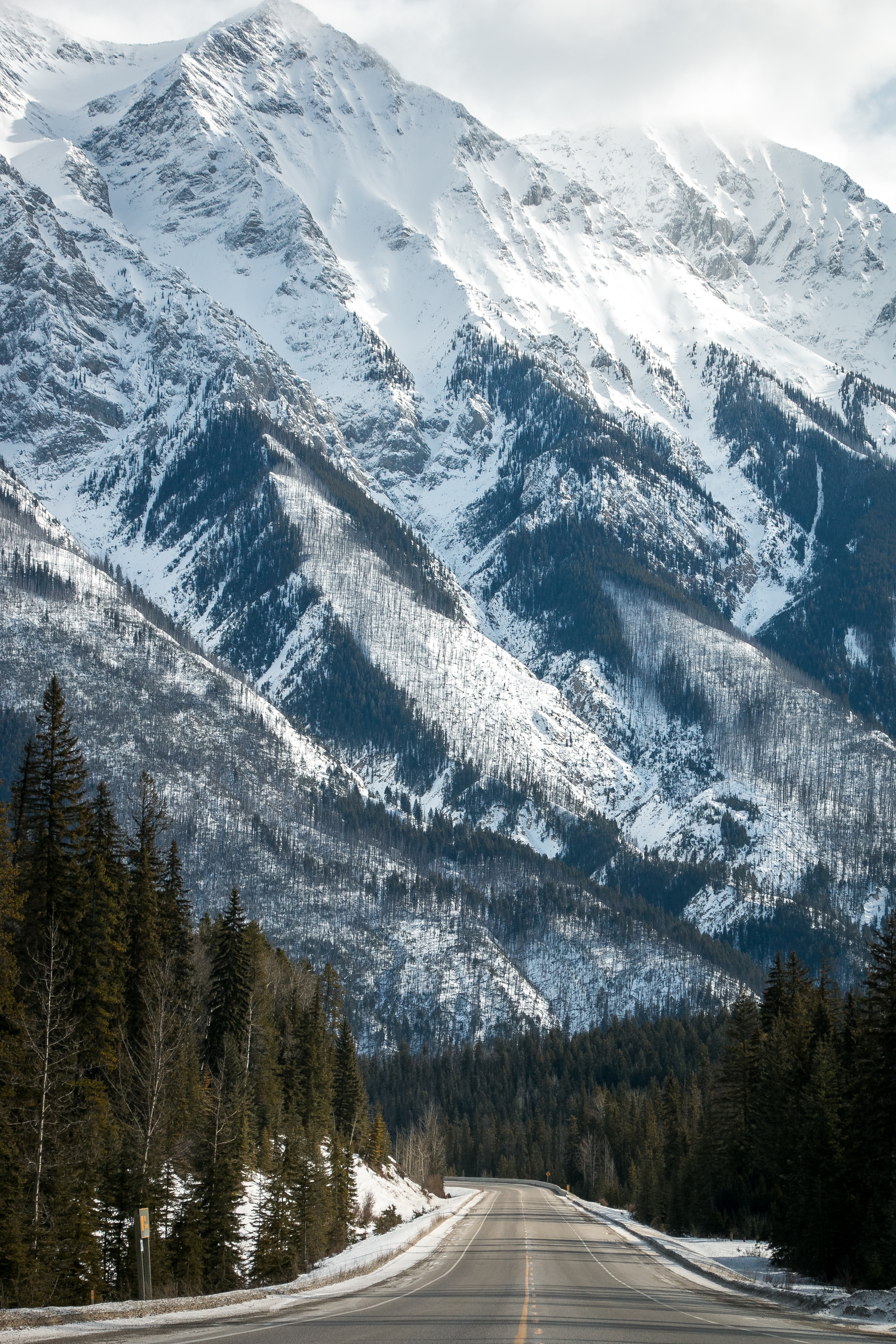 nature, Mountains, Snow, Trees, Road Wallpaper