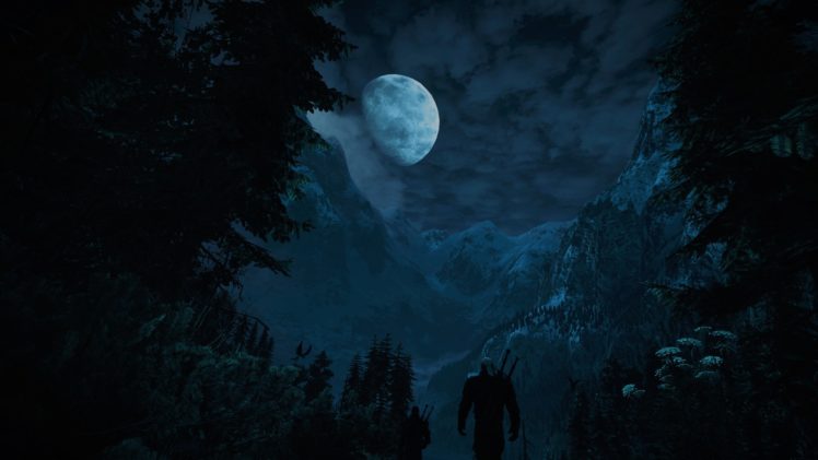 The Witcher, The Witcher 3: Wild Hunt, Night, Moon, Video games, Fantasy art HD Wallpaper Desktop Background
