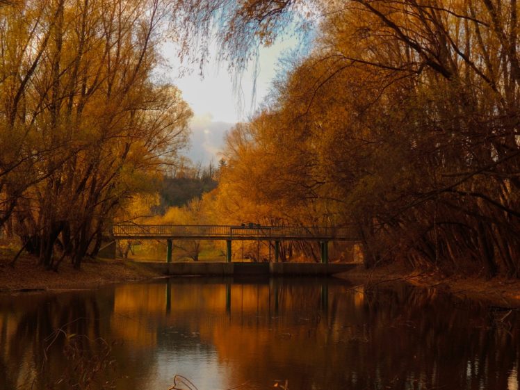 nature, Forest, Bridge, Red HD Wallpaper Desktop Background