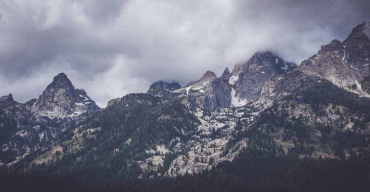 nature, Trees, Snow, Mountains HD Wallpaper Desktop Background