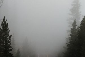 nature, Road, Trees, Smoke