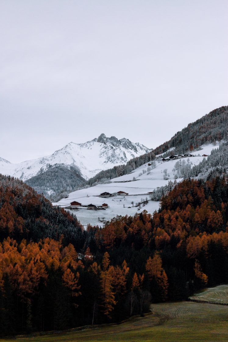 nature, Mountains, Trees, Snow, Landscape HD Wallpaper Desktop Background