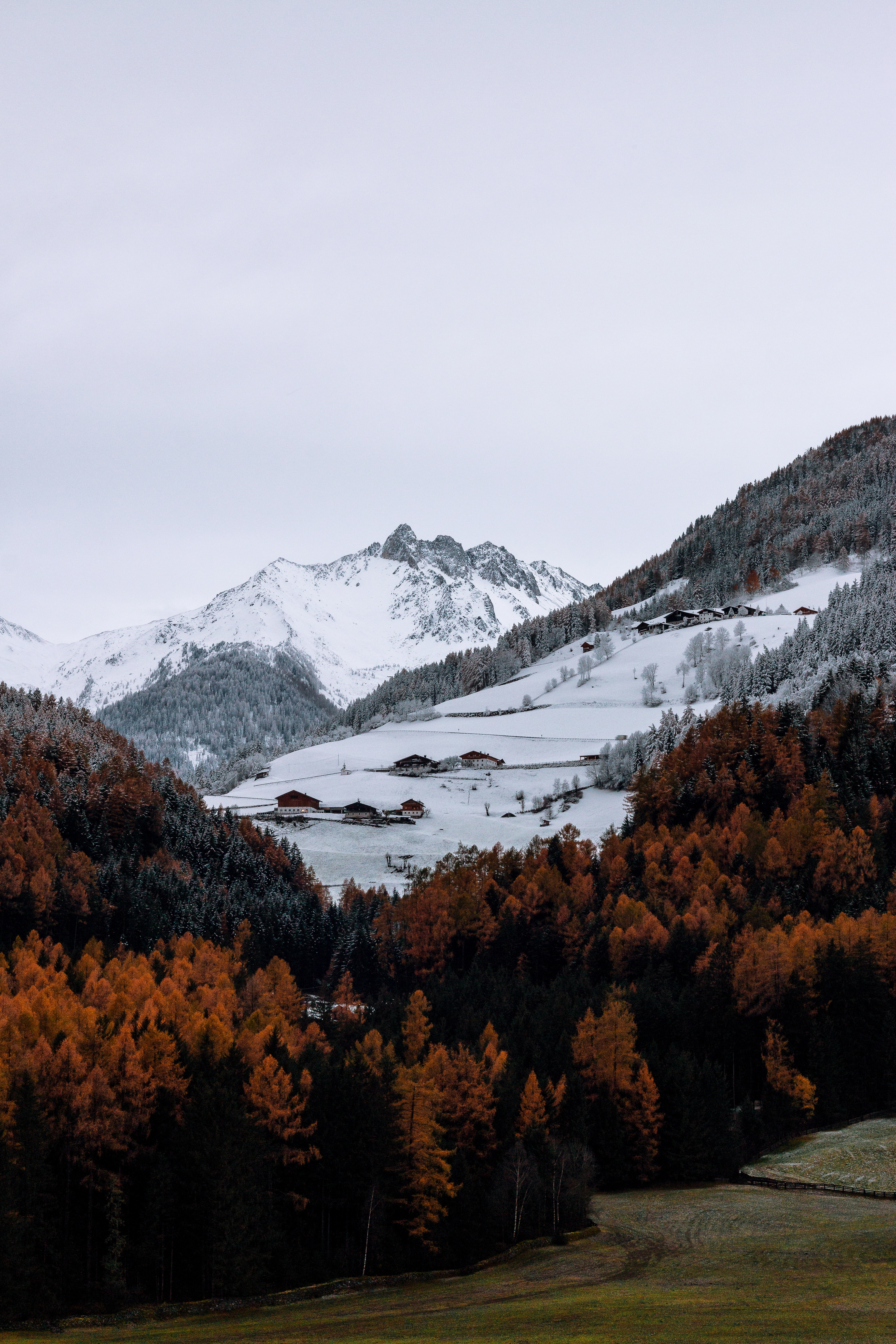 nature, Mountains, Trees, Snow, Landscape Wallpaper
