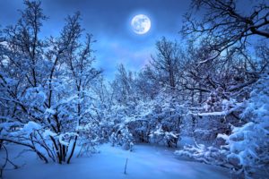 nature, Snow, Night