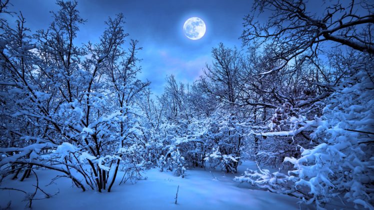 nature, Snow, Night HD Wallpaper Desktop Background