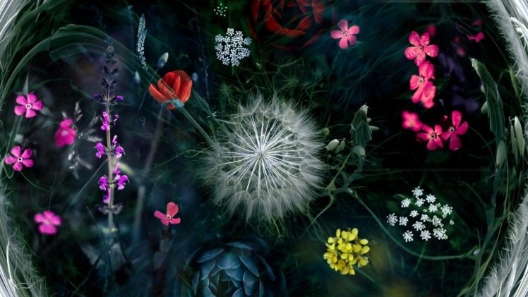 flowers, Red flowers, Rose, Yellow flowers, Dandelion, Pink flowers, Plants, Petals, Collage, Poppies HD Wallpaper Desktop Background