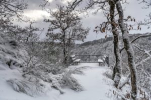 nature, Winter, Landscape, Bench