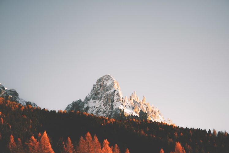 snow, Mountains, Forest, Landscape, Clear sky HD Wallpaper Desktop Background