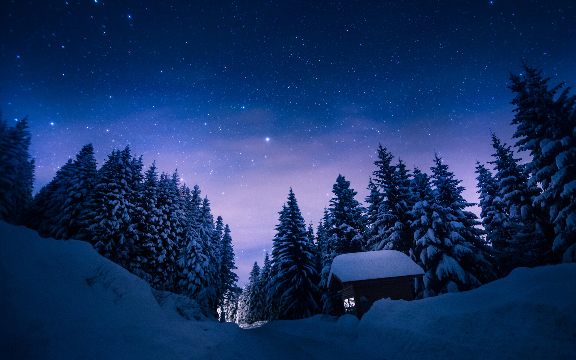 nature, Winter, Snow, Night, Stars, Trees, Forest, Cabin, Path Wallpaper
