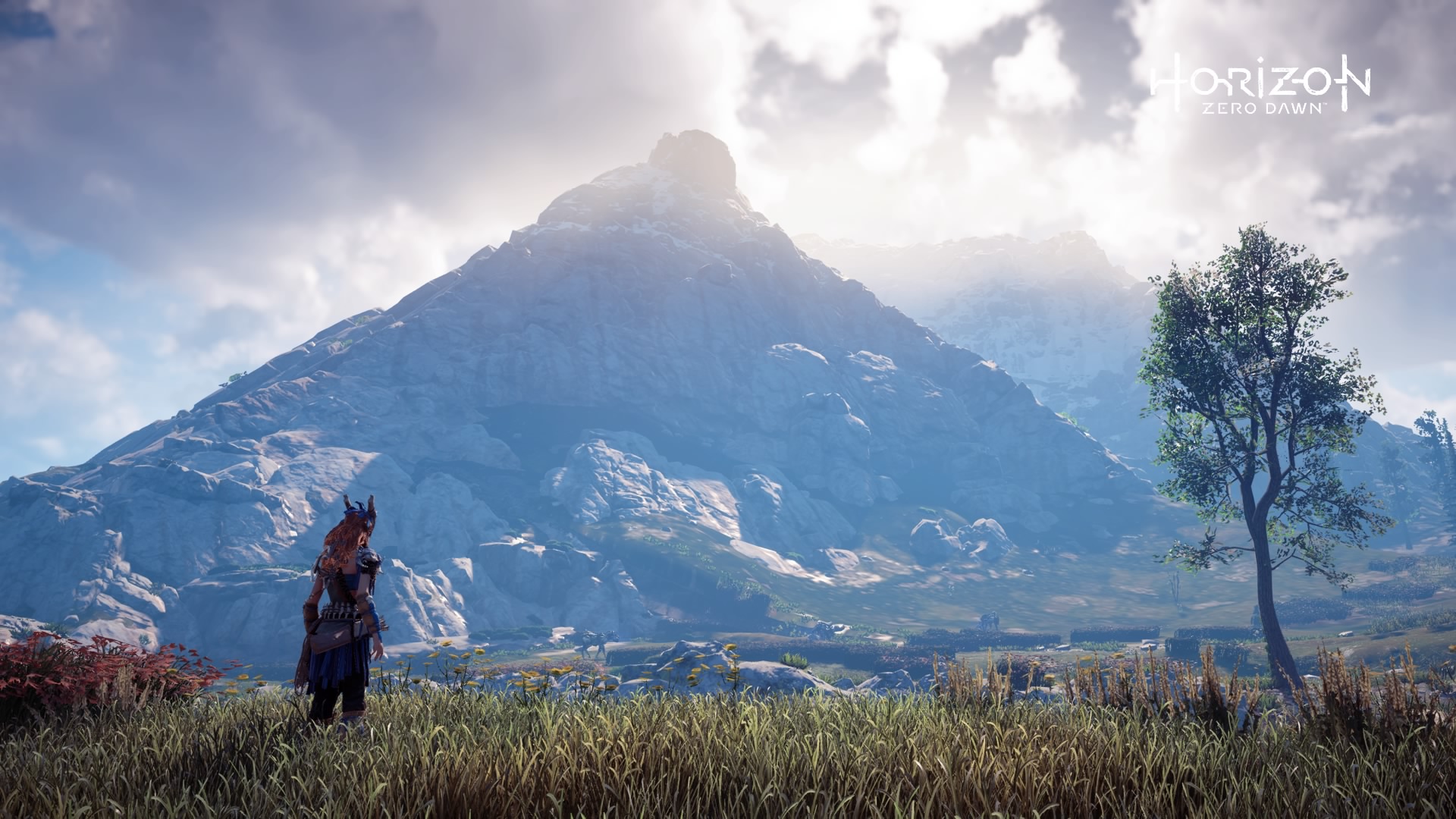 Horizon Zero Dawn™ 20171202165939 Wallpaper
