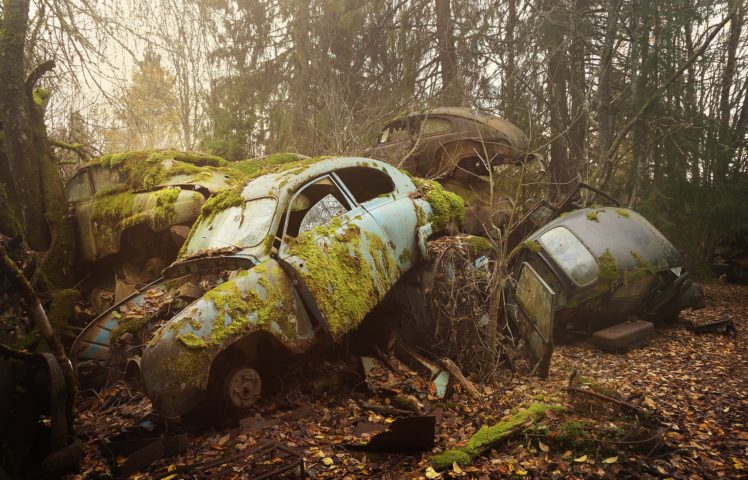 car, Vehicle, Wreck, Moss, Rust HD Wallpaper Desktop Background