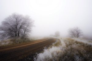 landscape, Dirt road, Winter