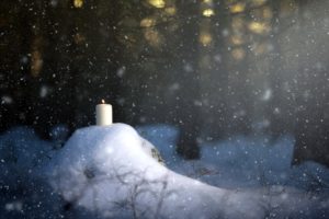winter, Snow, Trees, Candles