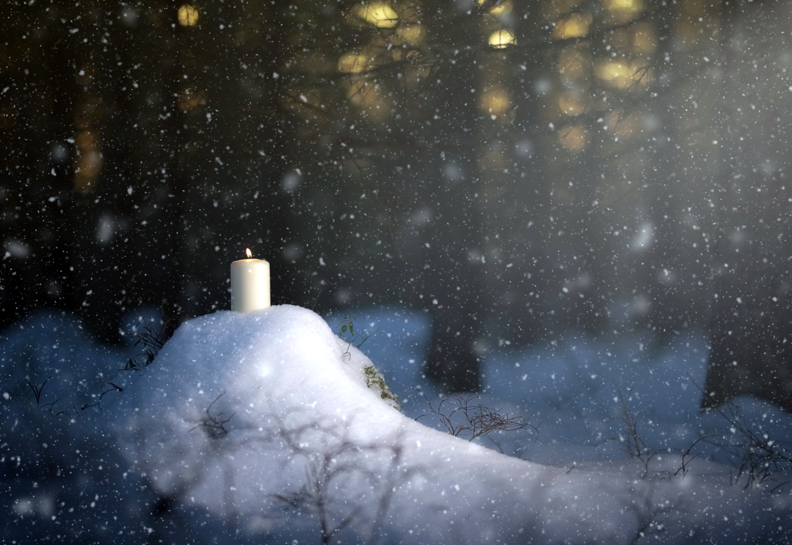 winter, Snow, Trees, Candles Wallpaper