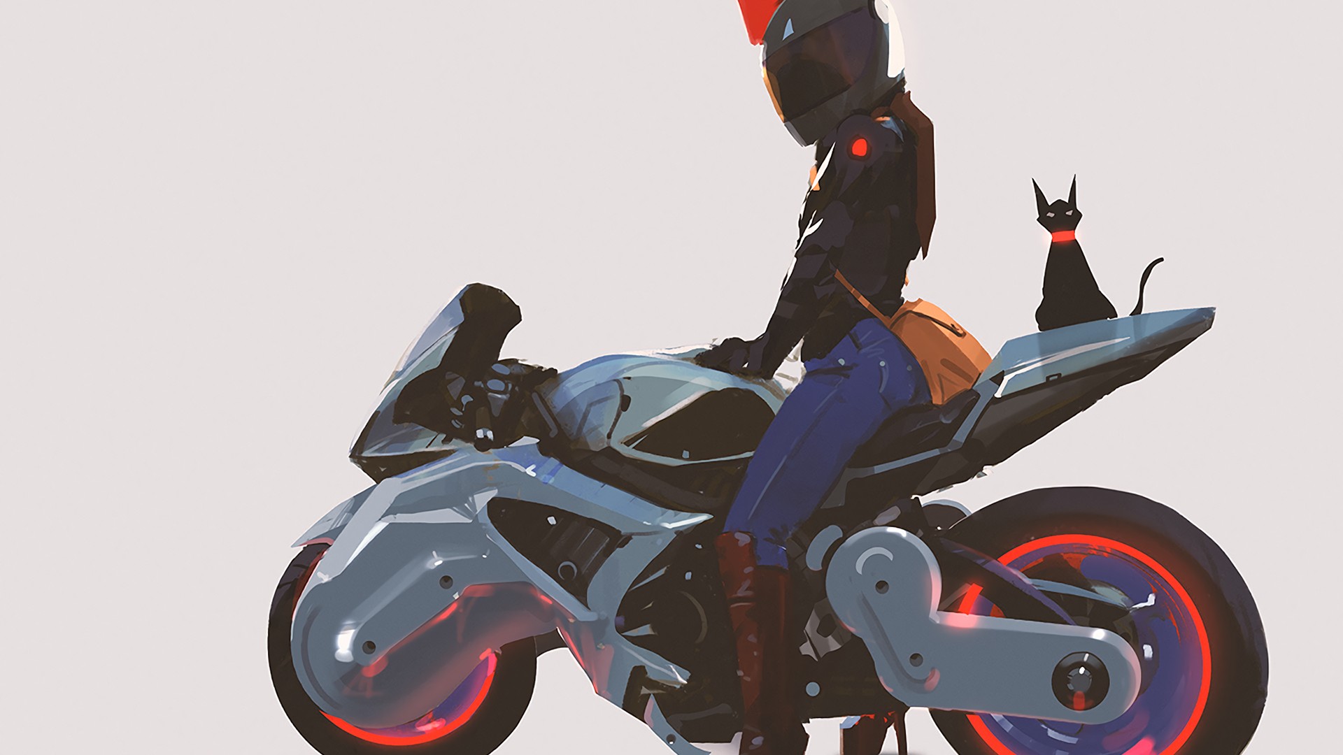 motorcycle, Cat Wallpaper