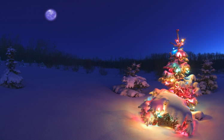 Christmas Tree Glowing At Night In Snow, Alberta, Canada HD Wallpaper Desktop Background