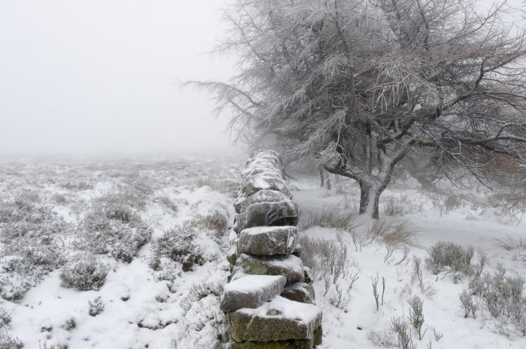 winter, Snow, Landscape, Trees HD Wallpaper Desktop Background