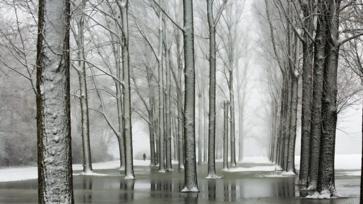 winter, Nature, Trees HD Wallpaper Desktop Background