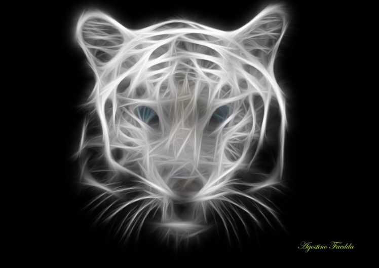 tiger, Wildlife HD Wallpaper Desktop Background