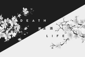 dark, White, Life, Death, Kanji, Japan