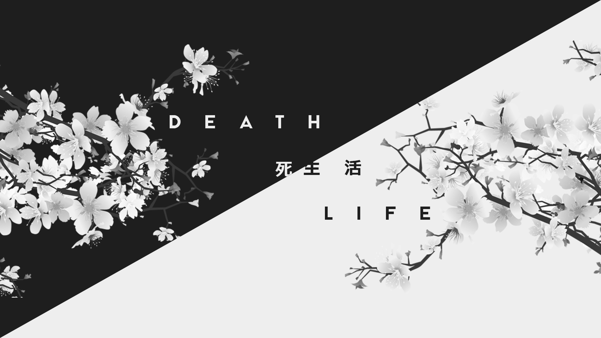 dark White Life Death Kanji Japan  Wallpapers  HD 