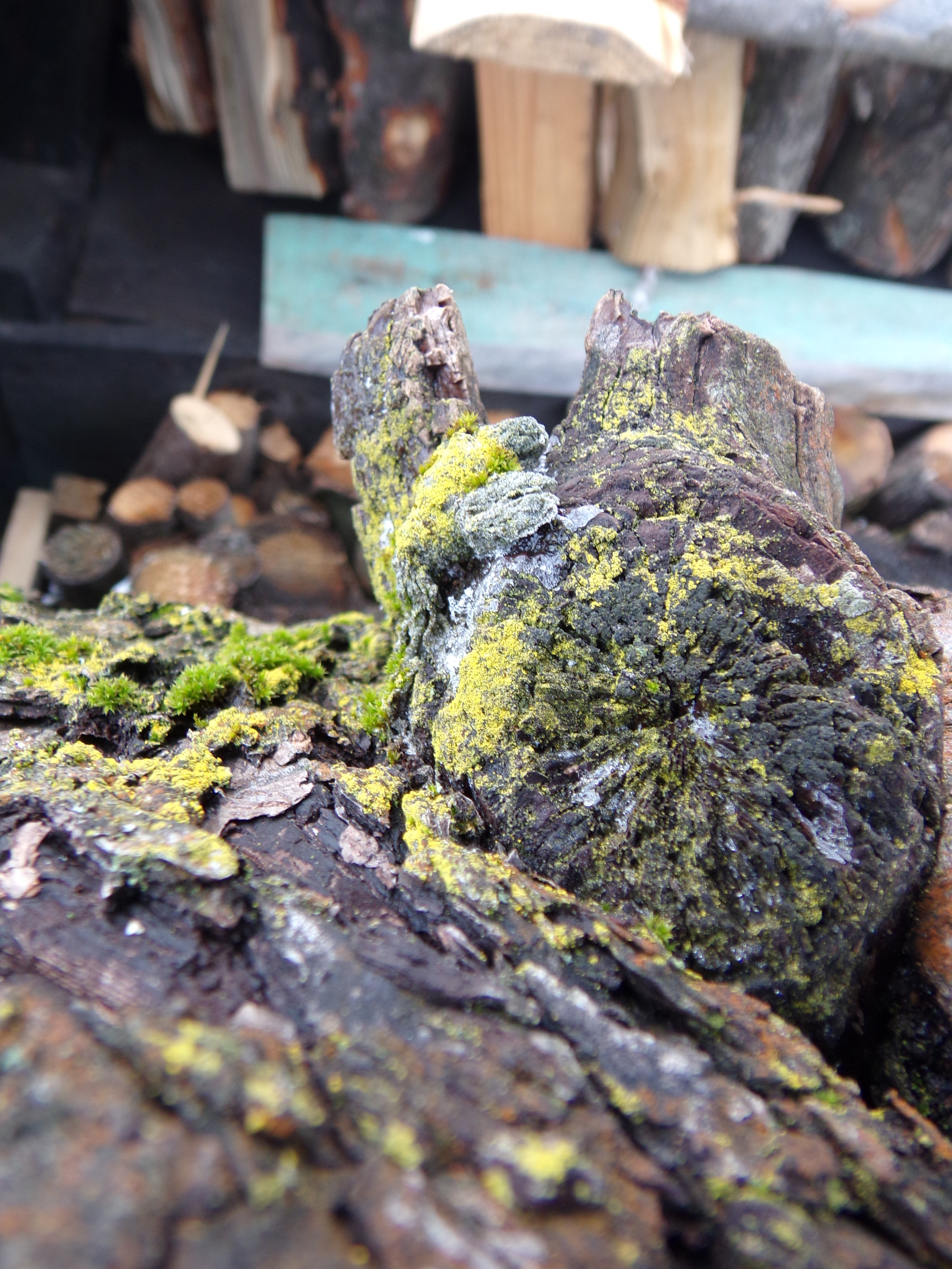 KODAK Digital Still Camera Wallpapers HD / Desktop and Mobile Backgrounds