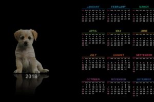 calendar, Puppies, Dog