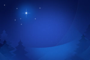 trees, Christmas, Stars, Night