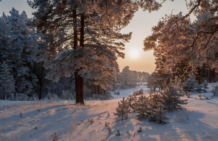 landscape, Nature, Snow, Trees, Winter HD Wallpaper Desktop Background