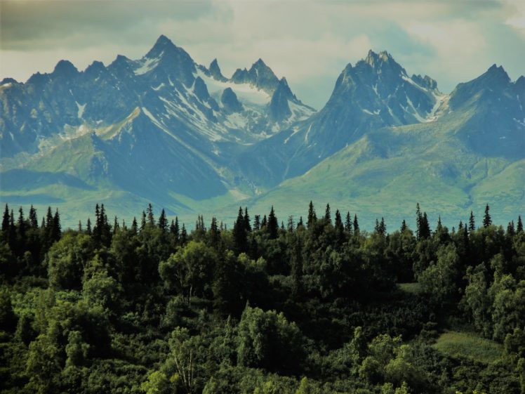 mountains, Landscape, Wood HD Wallpaper Desktop Background