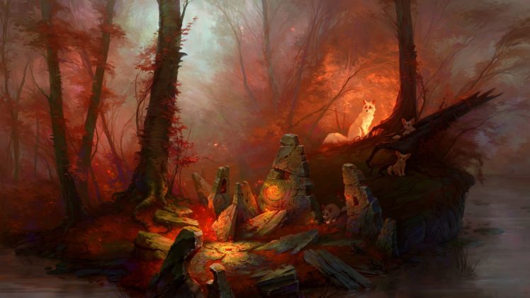 fox, Forest, Fall, Waystone, Frog, Magic HD Wallpaper Desktop Background