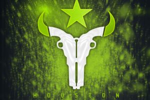 Overwatch, Overwatch League, Houston Outlaws, E sports