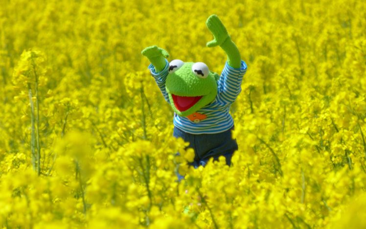 Kermit the Frog, Blossoms HD Wallpaper Desktop Background