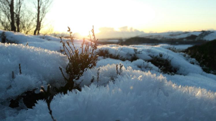 nature, Snow, Sunset HD Wallpaper Desktop Background