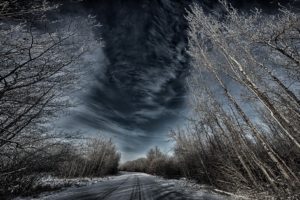 trees, Sky, Dark, Winter, Road