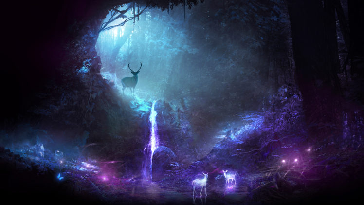 deer, Animals, Night, Waterfall HD Wallpaper Desktop Background