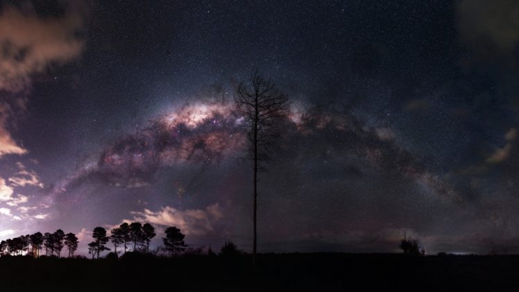 nature, Landscape, Night, Milky Way, Stars, Trees, Clouds, Silhouette, Long exposure HD Wallpaper Desktop Background