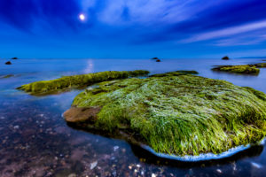 nature, Landscape, Night, Moon, Clouds, Scotland, UK, Sea, Seaweed, Horizon, Rock, Long exposure