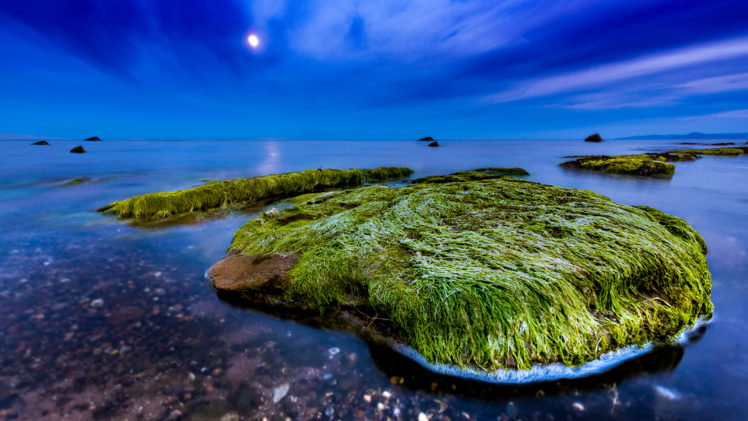 nature, Landscape, Night, Moon, Clouds, Scotland, UK, Sea, Seaweed, Horizon, Rock, Long exposure HD Wallpaper Desktop Background
