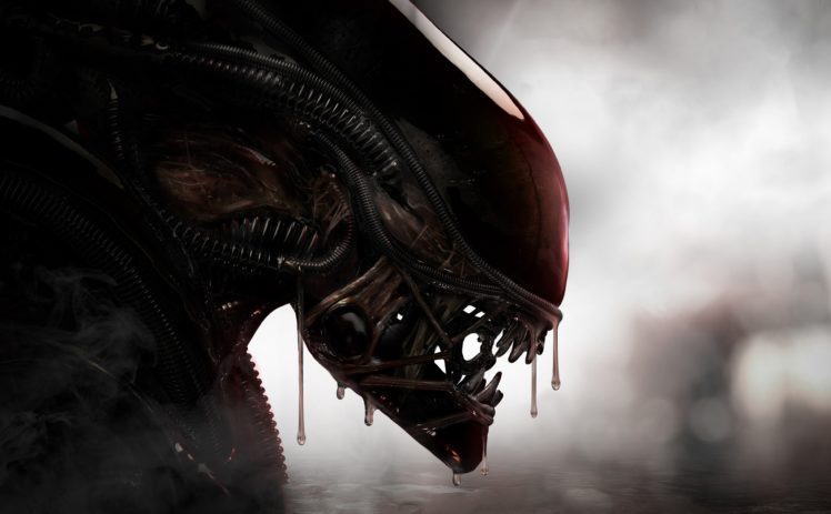 Xenomorph, Aliens, Creature HD Wallpaper Desktop Background