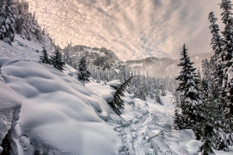 winter, Snow, Nature, Mountains, Trees, Landscape HD Wallpaper Desktop Background